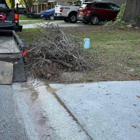 Leaf Removal by Keep it green reviewed on August 20, 2025