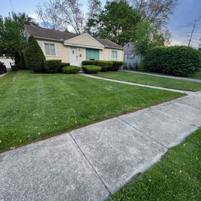 landscaping by New leaf Landscaping reviewed on August 20, 2025