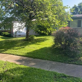 lawn care by DBE Turf Solutions reviewed on July 16, 2025