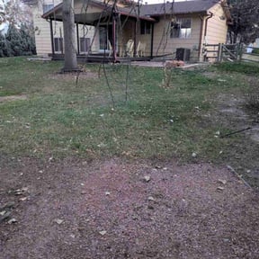 Leaf Removal by Torres Transformations reviewed on November 23, 2025