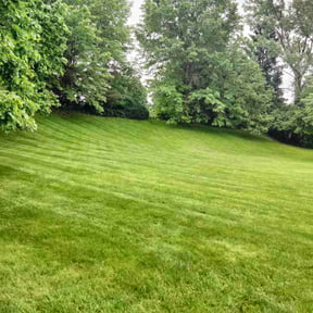 residential landscaping by King Kong Lawn Care reviewed on August 20, 2025