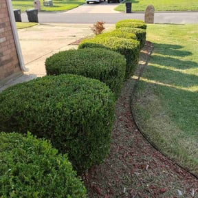 Bush Trimming by Lazy Day Lawn Maintenance  reviewed on July 2, 2020