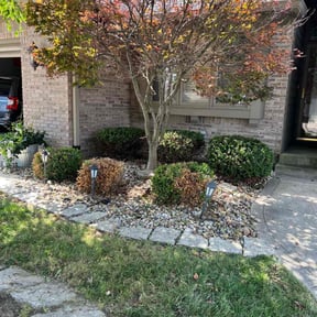 Bush Trimming by R&G Lawn care reviewed on August 16, 2025