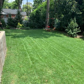 yard care by Espinoza’s Landscaping reviewed on August 21, 2025