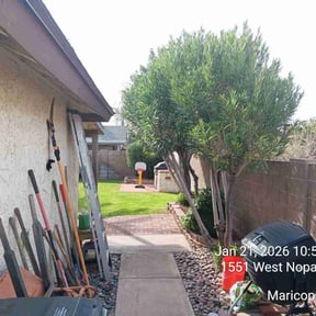 Bush Trimming by Victor's Landscaping company  reviewed on July 6, 2026