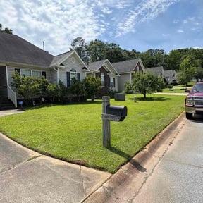 yard service by David Watson reviewed on August 18, 2025