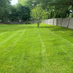 landscaping services by Cindy's lawn care reviewed on August 17, 2025