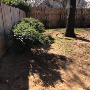 Leaf Removal by Esparza Lawn N More... reviewed on September 10, 2025