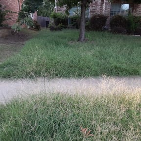 Bush Trimming by Mow & Go reviewed on August 21, 2025