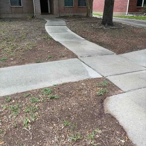 Leaf Removal by Nor reviewed on April 27, 2026