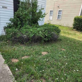 Bush Trimming by RTH Lawn Service & Landscaping LLC reviewed on August 21, 2025