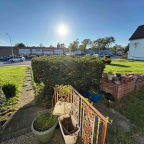 Bush Trimming by DC Lawncare & Design, LLC reviewed on August 19, 2025