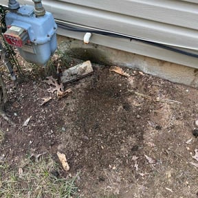 Leaf Removal by Clutch Bush hog &amp;amp; lawn care reviewed on September 6, 2025