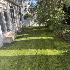 lawn service by F.H PRO LLC Landscape reviewed on June 4, 2022