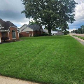 landscape maintenance by Michael W Knopick reviewed on December 15, 2025