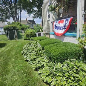 Bush Trimming by BRDOC - Lawn Care reviewed on August 16, 2025