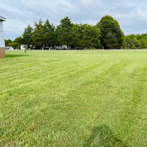 yard work by Affluere Lawncare reviewed on August 19, 2025