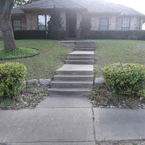 Bush Trimming by Rays specialized lawn service and care reviewed on August 16, 2025