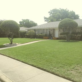 Bush Trimming by GRASS EFX LAWN CARE reviewed on August 18, 2025