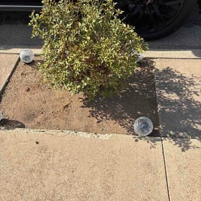 Flower Bed Weeding by JACKSONS LANDSCAPING reviewed on August 27, 2026