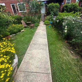landscaping by BMP reviewed on August 19, 2025