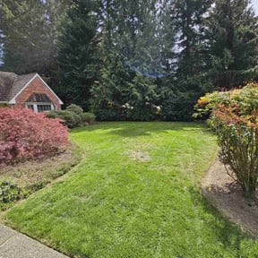 grass maintenance by Nicholas Jones reviewed on October 3, 2023