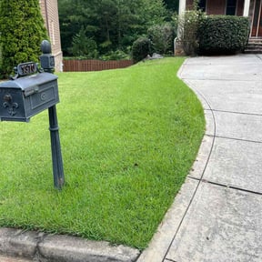 yard care by Precision Lawn Care of VA reviewed on October 21, 2025