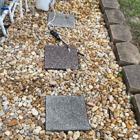 Bush Trimming by Delta Mike Properties reviewed on May 10, 2024