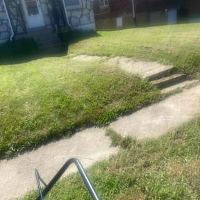 Bush Trimming by S. Hayes lawn Maintenance reviewed on August 19, 2025
