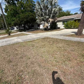 Leaf Removal by Bernal landscaping reviewed on April 14, 2026