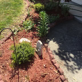 Flower Bed Weeding by Brett's Lawn Service reviewed on August 18, 2025