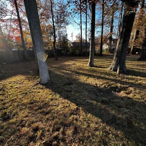 Leaf Removal by Demoin lawncare reviewed on September 23, 2025