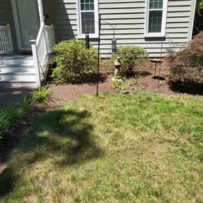 Bush Trimming by Carters Lawn Care Services reviewed on August 15, 2025