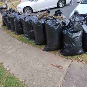 Leaf Removal by Lawn services JAV reviewed on October 1, 2025