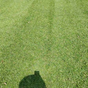 gardening service by Mow-2-Snow Yard Service reviewed on August 16, 2025