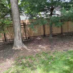 Leaf Removal by Douglas Lawn and Services LLC reviewed on May 18, 2026
