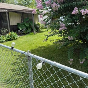 yard care by Jack's Lawn Care reviewed on August 18, 2025