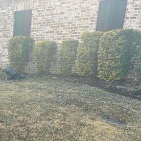 Bush Trimming by Grassmasters Outdoors, LLC reviewed on December 8, 2025