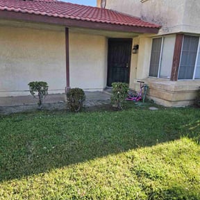 Bush Trimming by All Around Landscaping reviewed on August 19, 2025