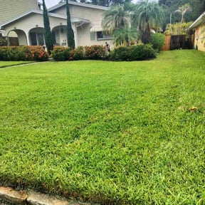 yard work by J Jr’s Lawn Maintenance reviewed on August 16, 2025