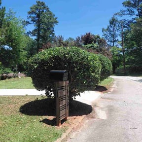 Bush Trimming by HGD landscaping reviewed on June 5, 2026