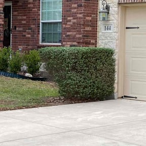 Bush Trimming by PJ’s Lawn care reviewed on August 14, 2025