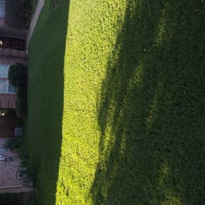 Bush Trimming by Diamond Cutz Lawn Svc reviewed on August 31, 2023