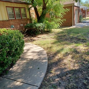 Bush Trimming by The Tradesmen Services & Solutions reviewed on August 15, 2025
