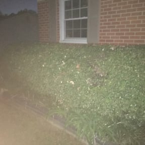 Bush Trimming by KRK Mowing reviewed on August 20, 2025