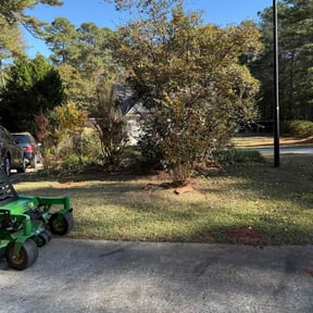 Bush Trimming by American Dream Lawn and Services reviewed on November 27, 2025