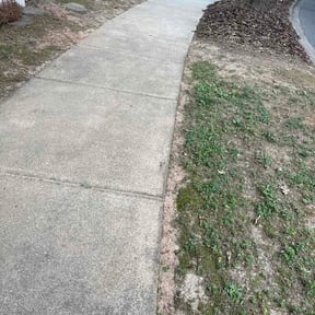 Leaf Removal by Three Bears Lawn Care (West Delivery) reviewed on July 6, 2026