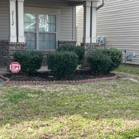 Flower Bed Weeding by Alpha Landscape Company reviewed on March 14, 2026