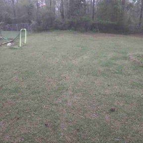 Leaf Removal by Willie Lawn Care and More LLC reviewed on April 13, 2026