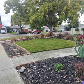 lawn maintenance by Scott&#039;s Landscape and pool service reviewed on June 13, 2025